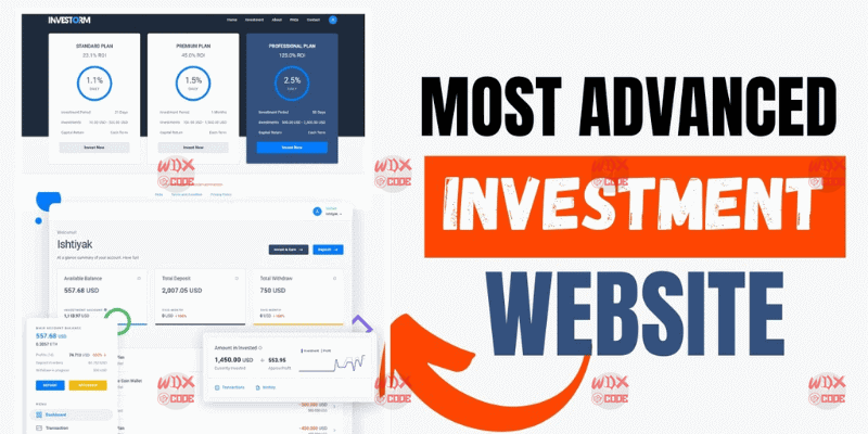 Investorm HYIP Advanced Script for Investment