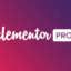 Elementor Pro - The Most Advanced Website Builder Plugin
